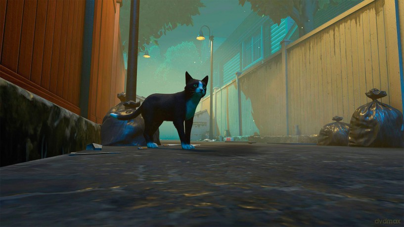 Copycat [GRA PS5]