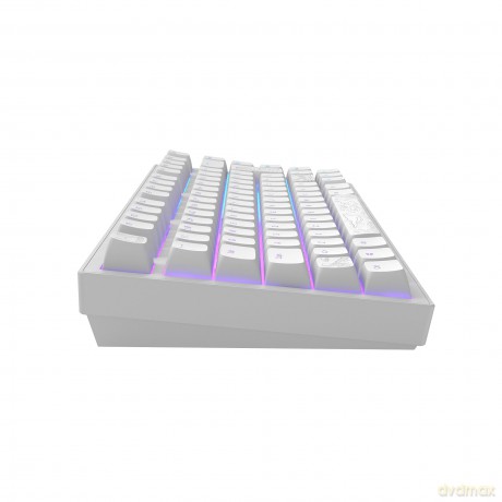 Dark Project - Nostra White 81 RGB