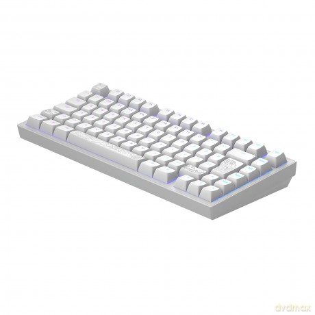 Dark Project - Nostra White 81 RGB