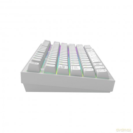 Dark Project - Nova White 81 RGB Wireless