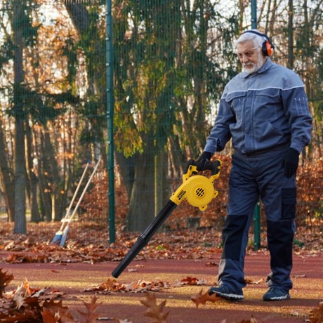 Dewalt DCV100 Solo Leafblower