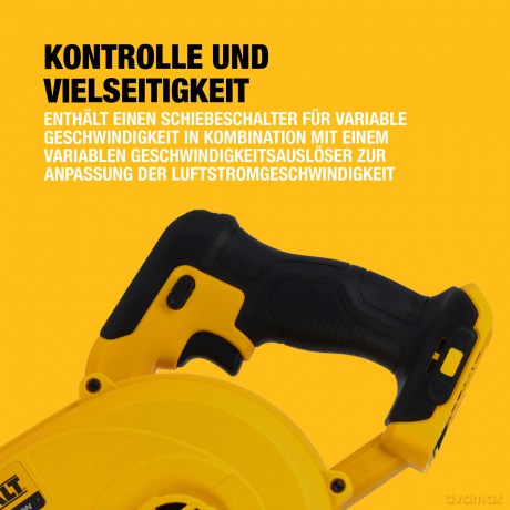 Dewalt DCV100 Solo Leafblower