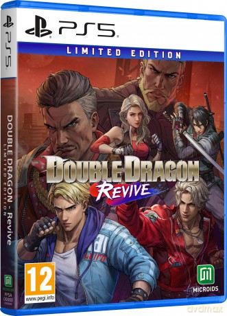 Double Dragon: Revive (Day 1 Edition) [GRA PS5]