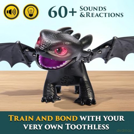 Dragons - Movie Tame & Train Interactive Toothless (6072728)