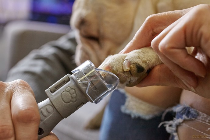 Dremel - Nail Care Kit For Pets