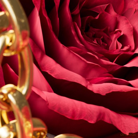 Escada - Candy Love EDT 100 ml