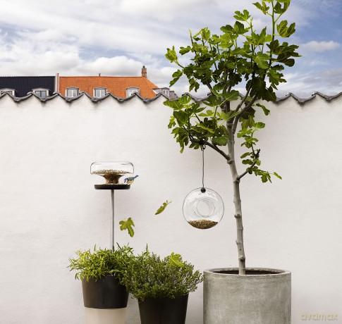 Eva Solo - Bird Feeder - Glass