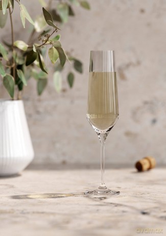 Eva Trio - Legio Nova Champagne Glass - Set of 6