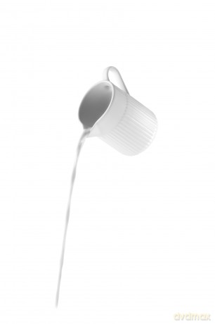 Eva Trio - Legio Nova Jug - 0.33 L