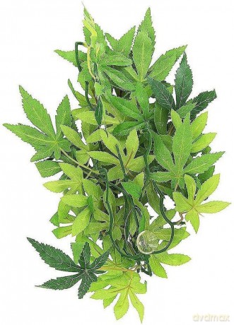 Exo Terra - Abutilon M - Exoterra