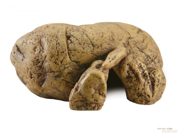 Exo Terra - Cave S - 17x9.3x4 cm