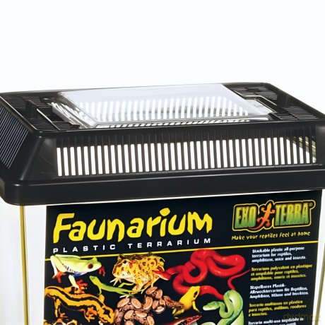 Exo Terra - Faunarium small plastic 23x15.3x16.5cm