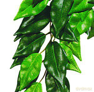Exo Terra - Ficus M - Green