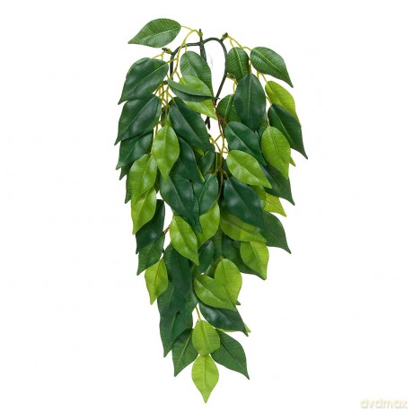 Exo Terra - Ficus M - Green