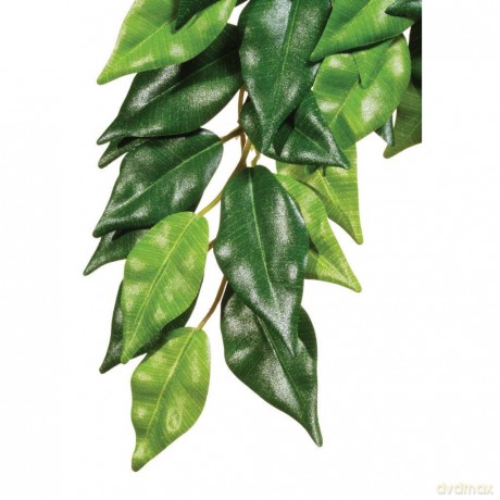 Exo Terra - Ficus M - Green