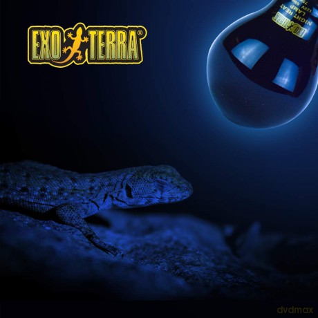 Exo Terra - Intense Basking Spot 75W S20 E27 Orange - (220.2475)
