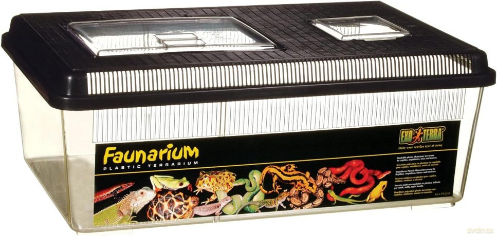 Exo Terra - Plastic Terrarium - 46x31x17.5 cm