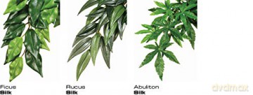 Exo Terra - RUCUS M