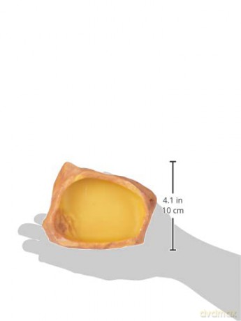 Exo Terra - Water Bowl - Medium - 12x9.5x3.5CM