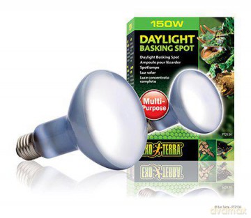 EXOTERRA - Daylight Basking Spot 150W R30 E27 Green - (220.2740)