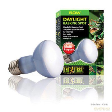 EXOTERRA - Daylight Basking Spot 50W R20 E27 Green - (220.2710)