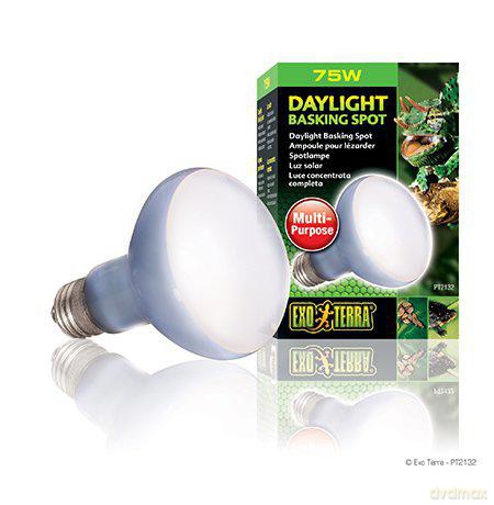 EXOTERRA - Daylight Basking Spot 75W R20 E27 Green - (220.2720)