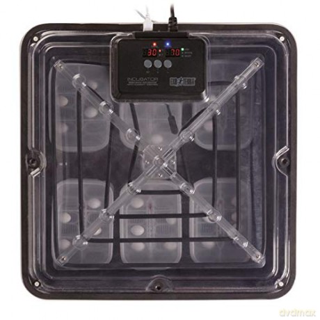Exoterra - Hygrometer Rund