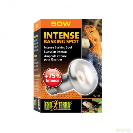 EXOTERRA - Intense Basking Spot 50W S20 E27 Orange - (220.2450)