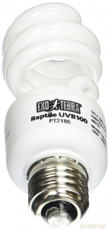 EXOTERRA - Reptile Uvb 100 Fluorescent lamp 25W E27 - (220.1871)