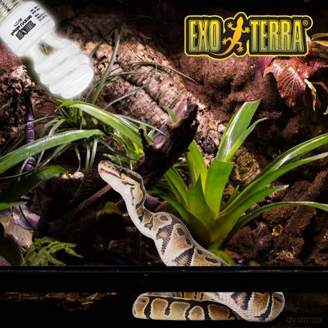 EXOTERRA - Reptile Uvb 100 Fluorescent lamp 25W E27 - (220.1871)