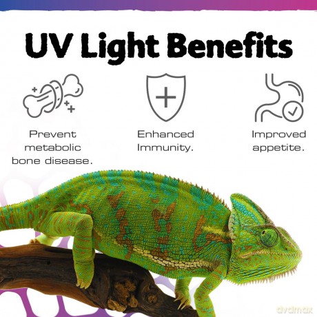 Exoterra - Terrasky UV-UVB LED Bulb - 9 Watt