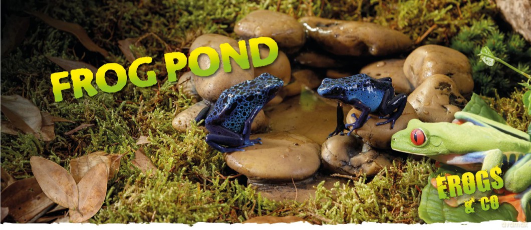 Exoterra - Water Bowl Frog Pond - Small - 15x12.5x5.5 cm