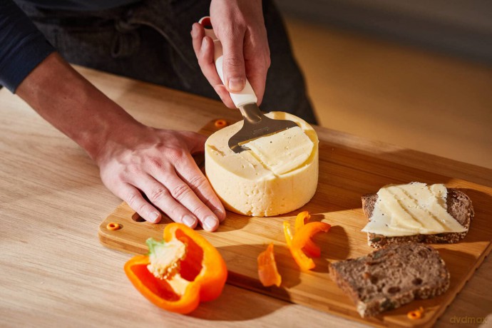Fiskars - FunctionalForm Cheese Slicer for Soft Cheese