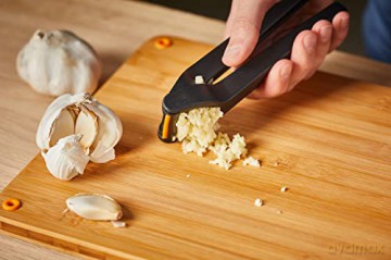 Fiskars - FunctionalForm Garlic Press
