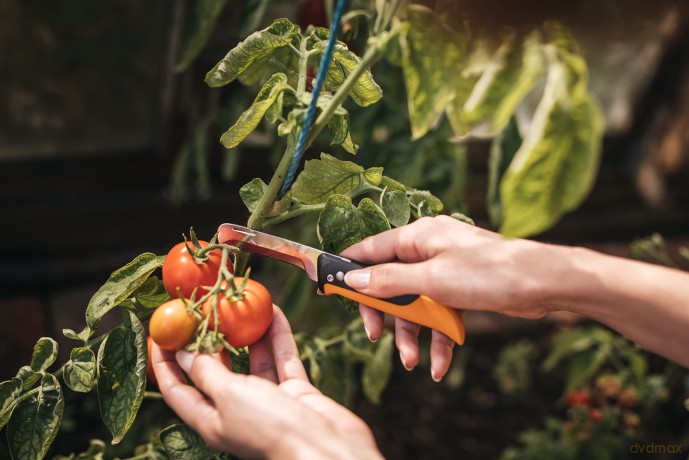 Fiskars X-series Folding produce knife K80