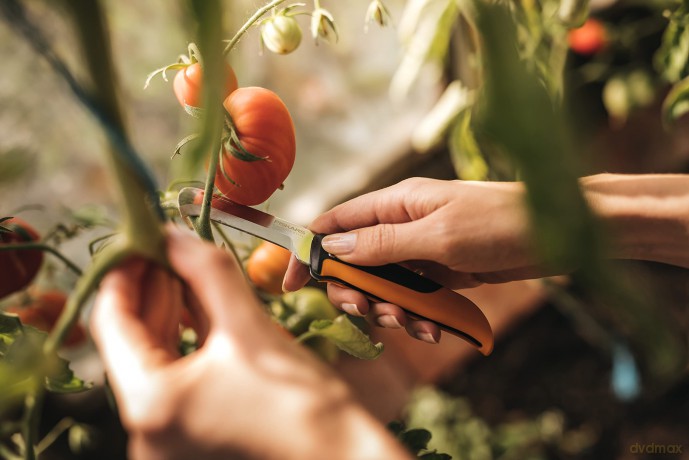 Fiskars X-series Folding produce knife K80
