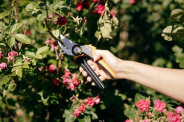 Fiskars Xseries PowerGear pruner bypass L P961