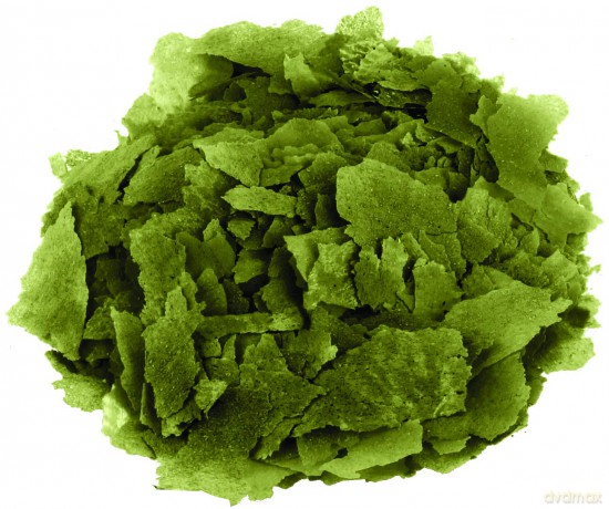 Fluval - Bug Bites Spirulina Flakes 180g