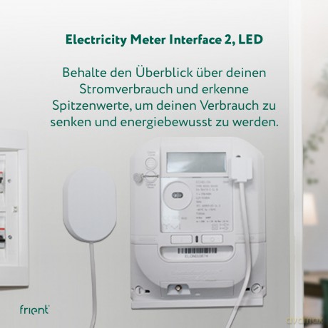 Frient - Electricity Meter Interface 2