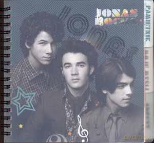 Pamiętnik Na Spirali Jonas Brothers [SZKOŁA]