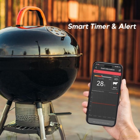 HerQs - Double Max Grill/Airfryer Thermometer