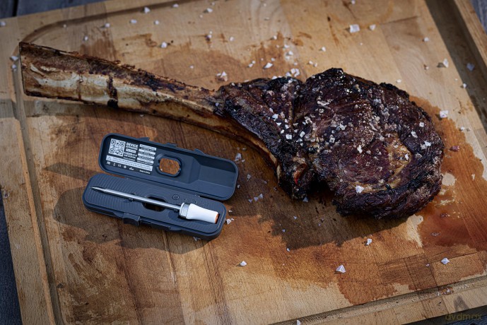 HerQs - Wireless Pin Probe
