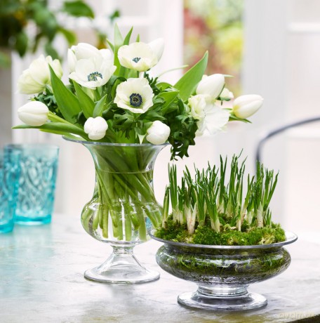 Holmegaard - Perfection Martini Glass 29 cl - 6 pcs.