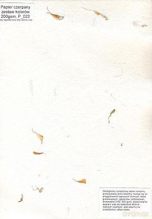 Papier Czerpany A4 P_022 200gsm Mix2 [SZKOŁA]