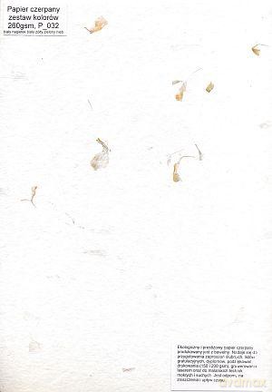 Papier Czerpany A4 P_032 260gsm Mix2 [SZKOŁA]