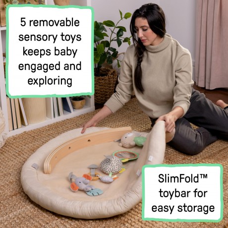 Ingenuity - Every Seasonâ˘ Plush Lambswool Play Gym - (IN-16969)