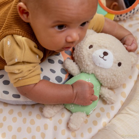 Ingenuity - Every Seasonâ˘ Plush Lambswool Play Gym - (IN-16969)