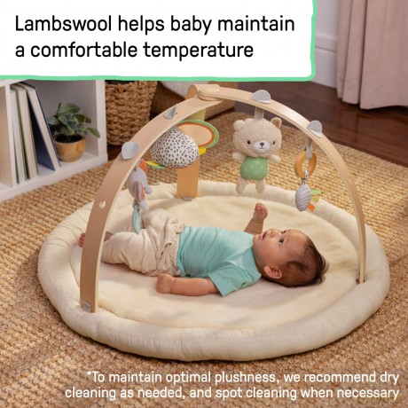 Ingenuity - Every Seasonâ˘ Plush Lambswool Play Gym - (IN-16969)
