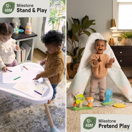 Ingenuity - Tummy to Toesâ˘ 6-in-1 Milestones Center - (IN-16904)