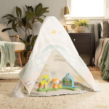 Ingenuity - Tummy to Toesâ˘ 6-in-1 Milestones Center - (IN-16904)